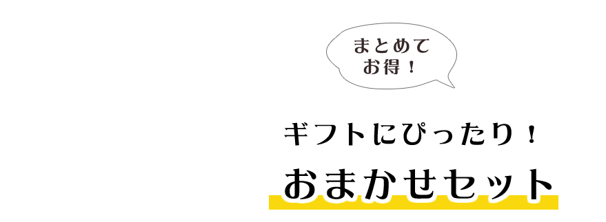 おまかせセット